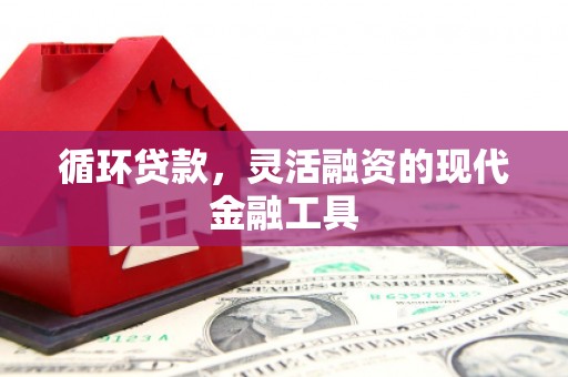 黄平循环贷款，灵活融资的现代金融工具