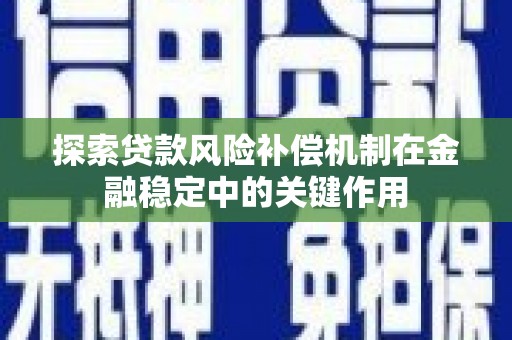 黄平探索贷款风险补偿机制在金融稳定中的关键作用