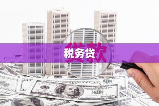 黄平税务贷
