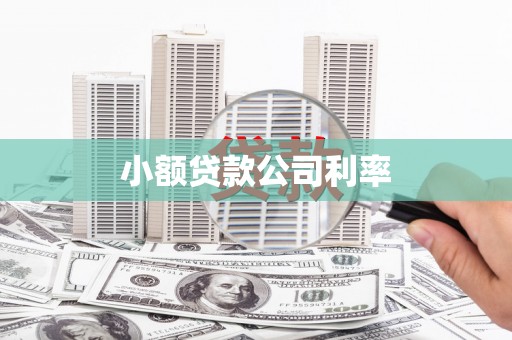 黄平小额贷款公司利率