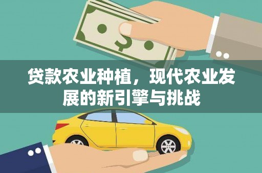 黄平贷款农业种植，现代农业发展的新引擎与挑战