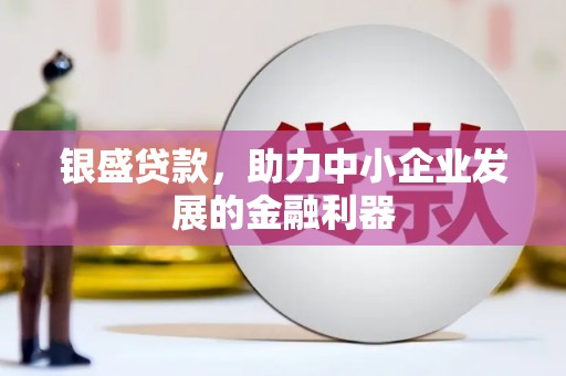 黄平银盛贷款，助力中小企业发展的金融利器