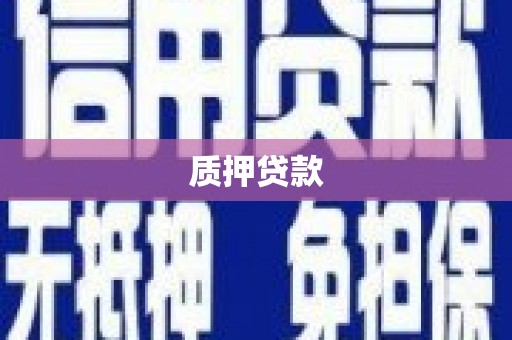 黄平质押贷款