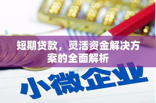 黄平短期贷款，灵活资金解决方案的全面解析