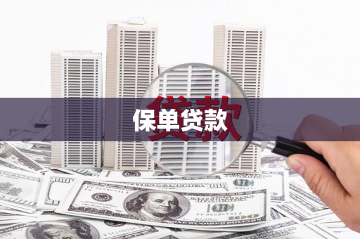 黄平保单贷款