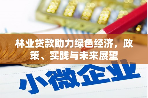 黄平林业贷款助力绿色经济，政策、实践与未来展望