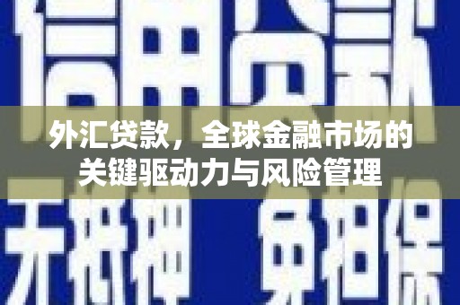 黄平外汇贷款，全球金融市场的关键驱动力与风险管理