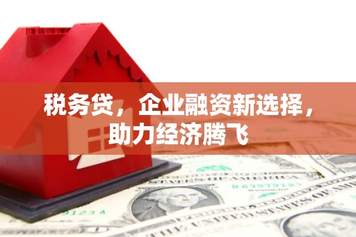 黄平税务贷，企业融资新选择，助力经济腾飞