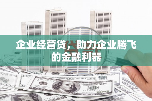 黄平企业经营贷，助力企业腾飞的金融利器