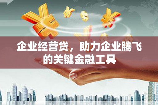 黄平企业经营贷，助力企业腾飞的关键金融工具