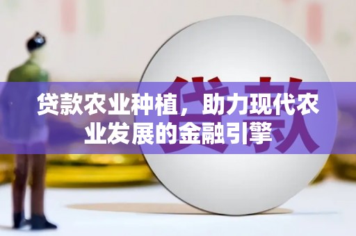 黄平贷款农业种植，助力现代农业发展的金融引擎