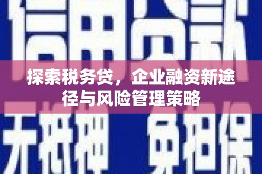 黄平探索税务贷，企业融资新途径与风险管理策略