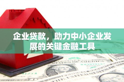 黄平企业贷款，助力中小企业发展的关键金融工具