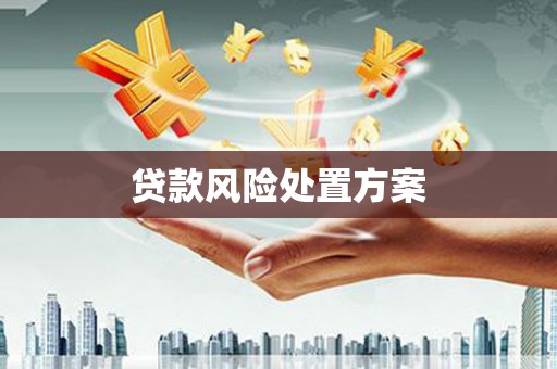 黄平贷款风险处置方案