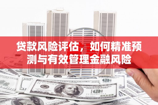 黄平贷款风险评估，如何精准预测与有效管理金融风险