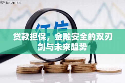 黄平贷款担保，金融安全的双刃剑与未来趋势