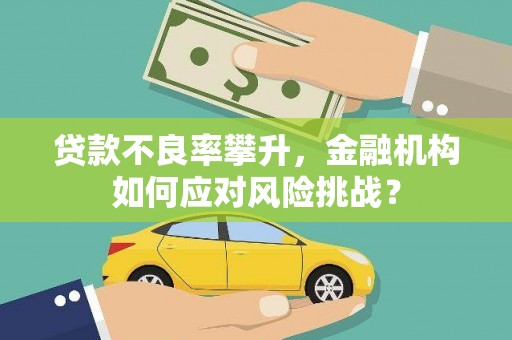 黄平贷款不良率攀升，金融机构如何应对风险挑战？
