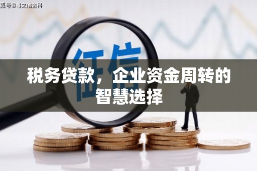 黄平税务贷款，企业资金周转的智慧选择