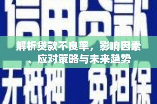 黄平解析贷款不良率，影响因素、应对策略与未来趋势