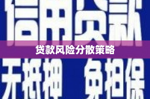 黄平贷款风险分散策略