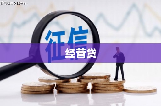 黄平经营贷