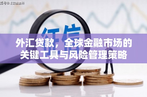 黄平外汇贷款，全球金融市场的关键工具与风险管理策略