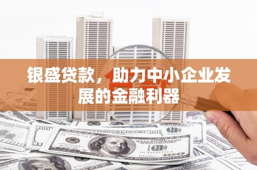 黄平银盛贷款，助力中小企业发展的金融利器