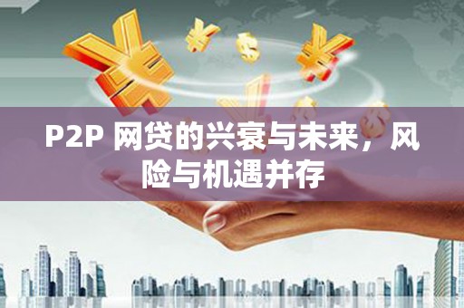 黄平P2P 网贷的兴衰与未来，风险与机遇并存