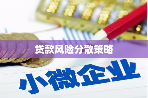 黄平贷款风险分散策略