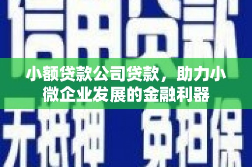 黄平小额贷款公司贷款，助力小微企业发展的金融利器
