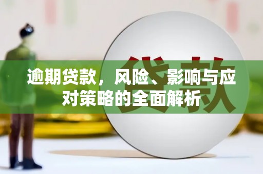 黄平逾期贷款，风险、影响与应对策略的全面解析