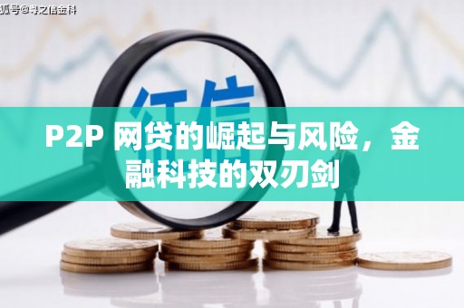 黄平P2P 网贷的崛起与风险，金融科技的双刃剑