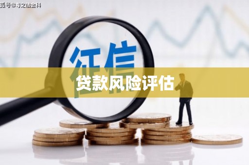 黄平贷款风险评估