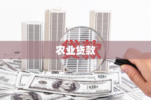 黄平农业贷款