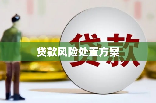 黄平贷款风险处置方案