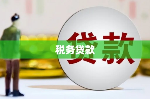 黄平税务贷款