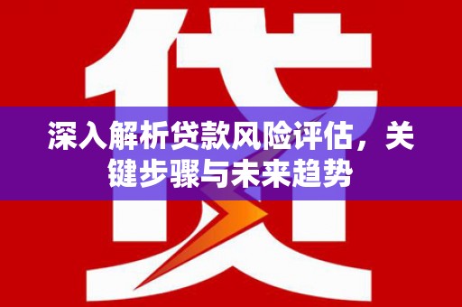黄平深入解析贷款风险评估，关键步骤与未来趋势