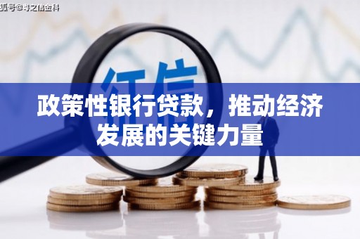 黄平政策性银行贷款，推动经济发展的关键力量
