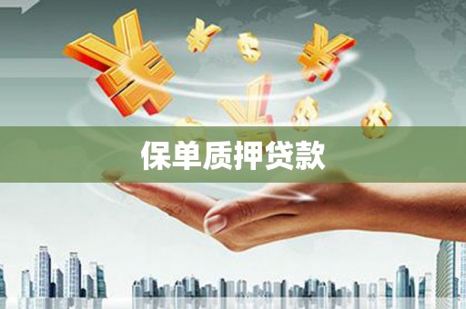 黄平保单质押贷款