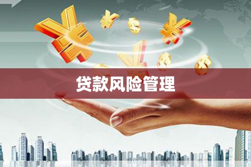 黄平贷款风险管理