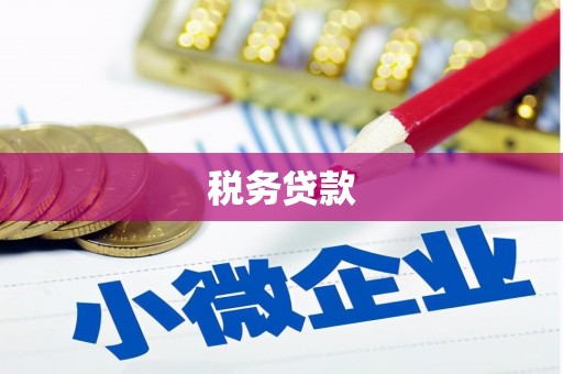 黄平税务贷款