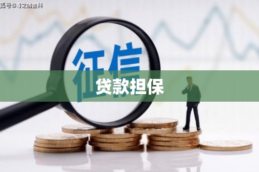 黄平贷款担保