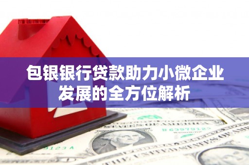 黄平包银银行贷款助力小微企业发展的全方位解析