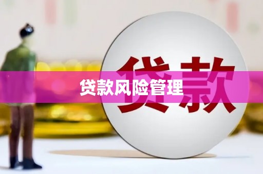 黄平贷款风险管理