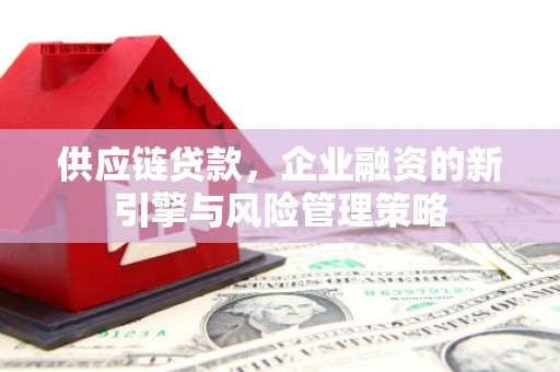 黄平供应链贷款，企业融资的新引擎与风险管理策略