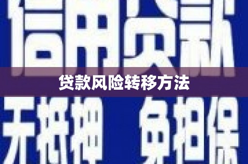 黄平贷款风险转移方法