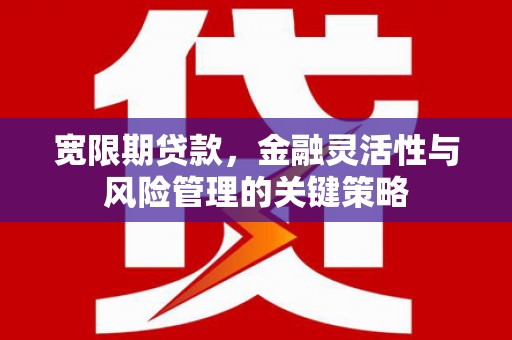 黄平宽限期贷款，金融灵活性与风险管理的关键策略