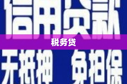 黄平税务贷
