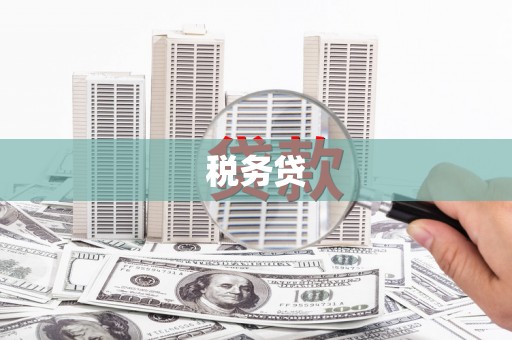 黄平税务贷