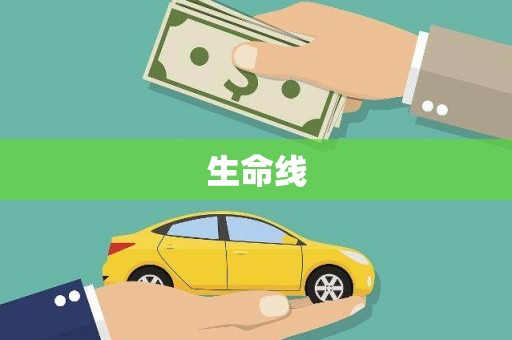黄平生命线
